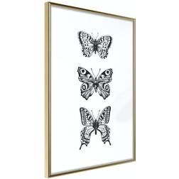 Arkiio Affisch Three Butterflies [Poster] 20x30 Poster